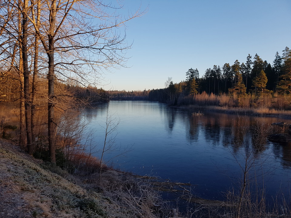 Svartasjön