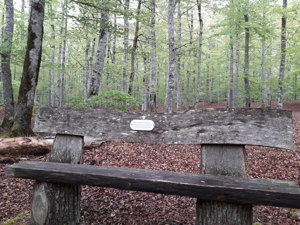 Bänk vid Bokslingan