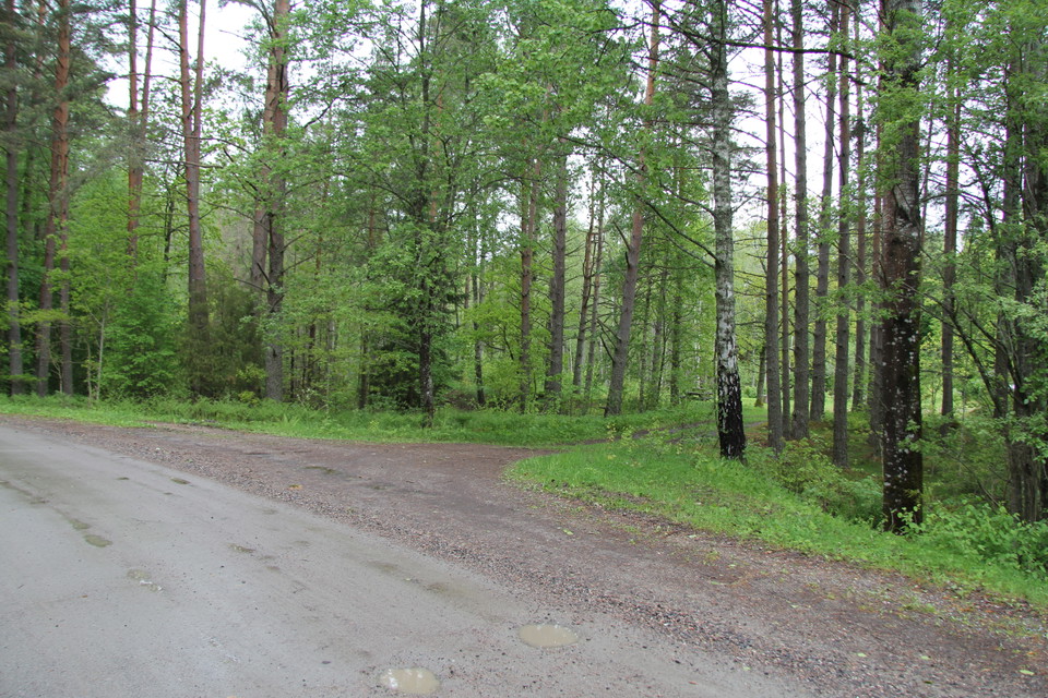 Vägen in till naturreservatet.