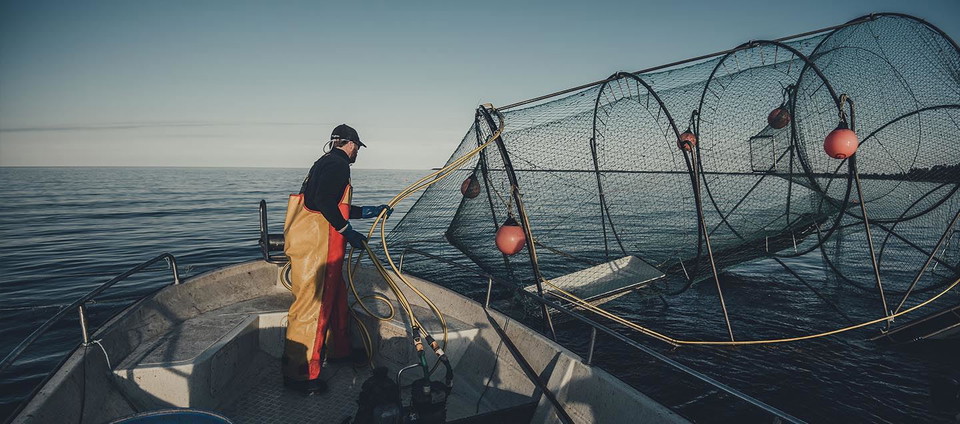 Bergmans Fisk Saltharsfjärden