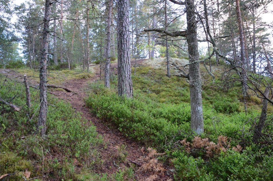 Stig upp till berget. 