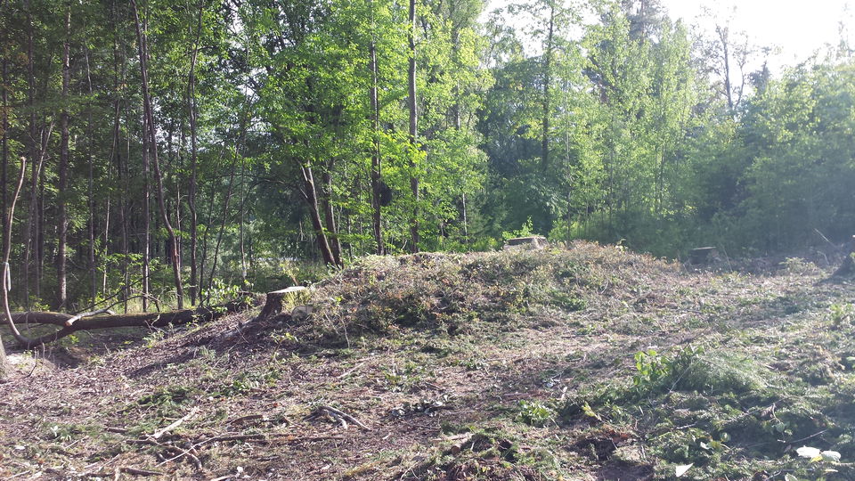 Gravhög.