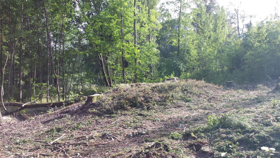 Gravhög.