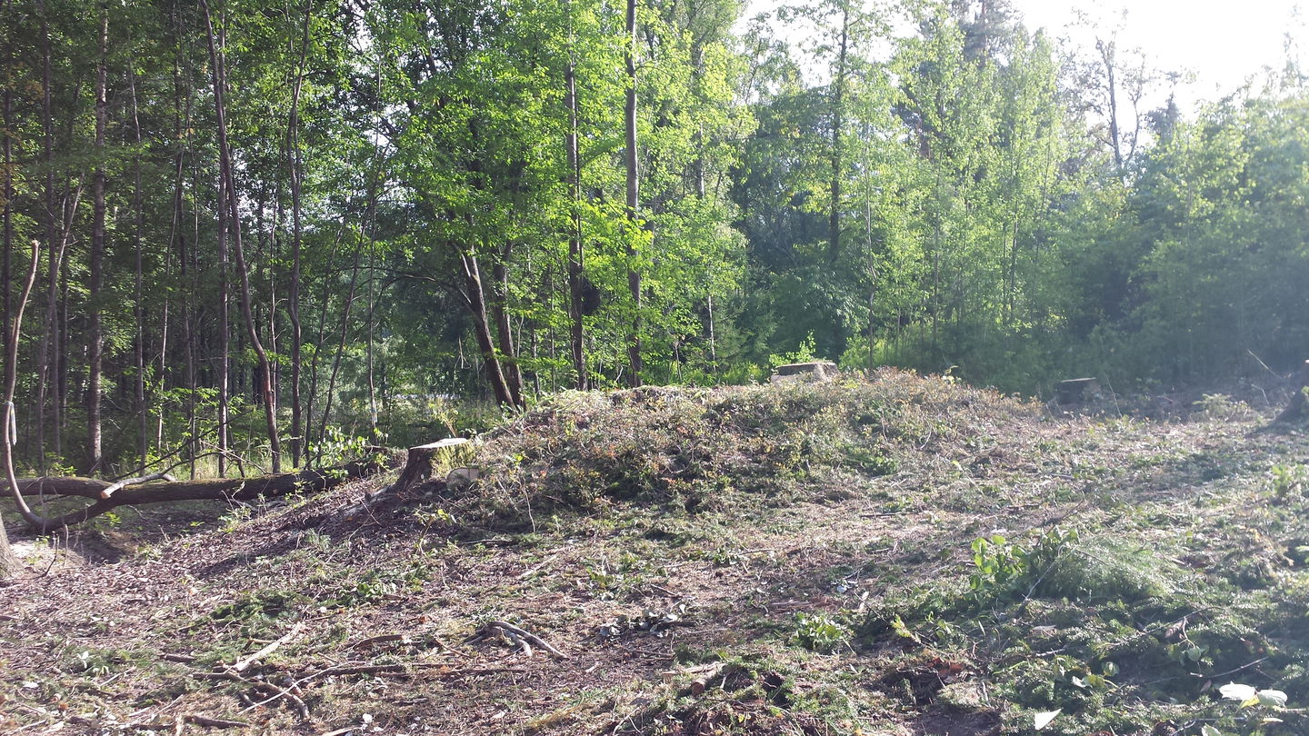 Gravhög.