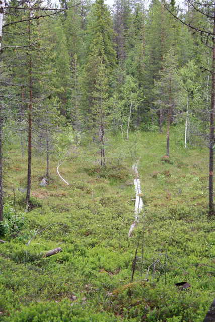 Some parts of the trail are in poor condition