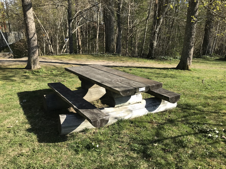 Bänkbord av stockar och grova träplankor.