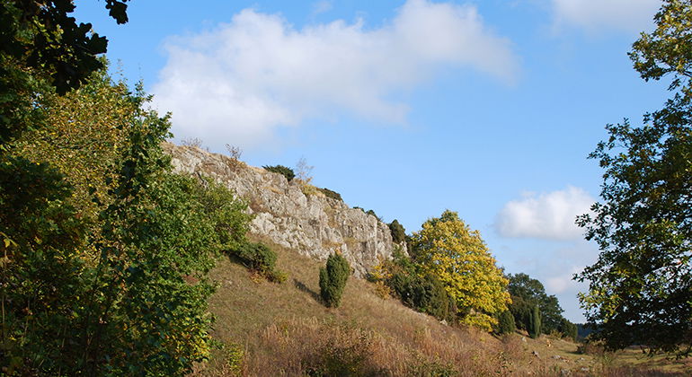 Berget Billebjer.