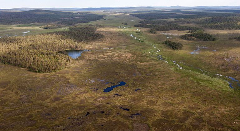 Vidsträckta våtmarker och gammal skogar skyddas i naturreservatet Päivävuoma. Länsstyrelsen Norrbotten.