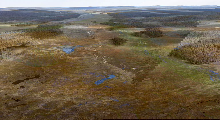 Vidsträckta våtmarker och gammal skogar skyddas i naturreservatet Päivävuoma. Länsstyrelsen Norrbotten.