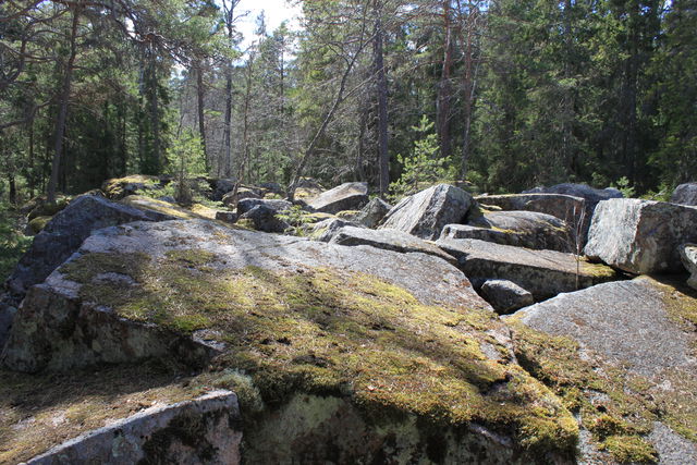 Smultronställe Gammelskogen i Storskogen