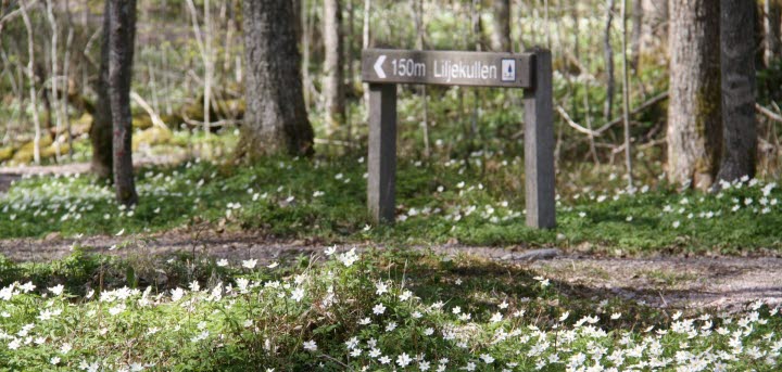 Bräcke Ängar naturreservat