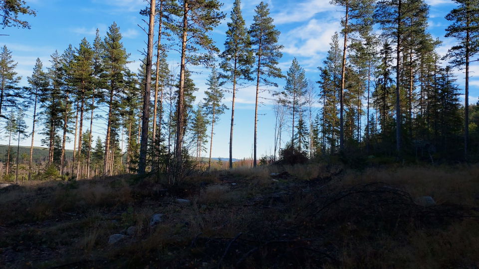 Utsikt skymtas redan på vägen upp