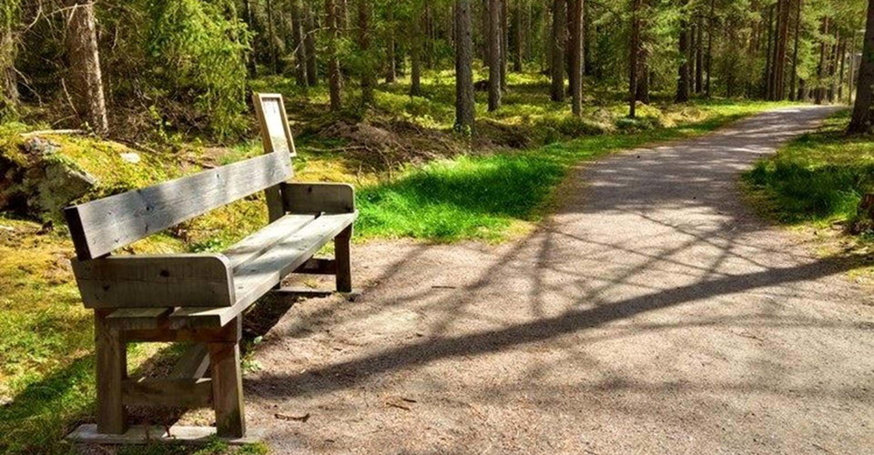 En stig för alla i Albogaskogen. 
Etapp: Stinsen-Hälla. 
Söderköping. 