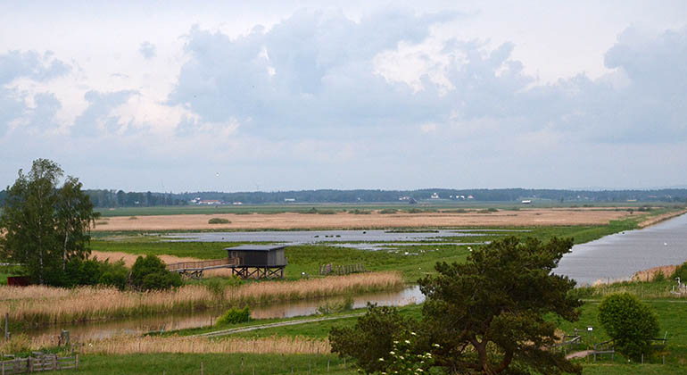 Utsikt från Öby kulle.