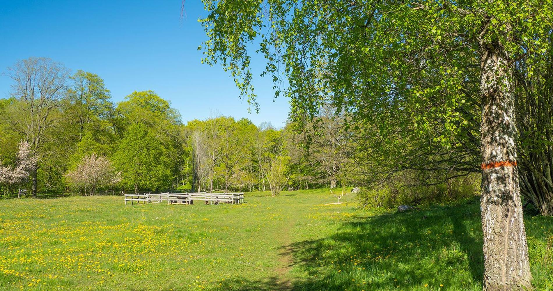 Höje Lilläng, rastplats