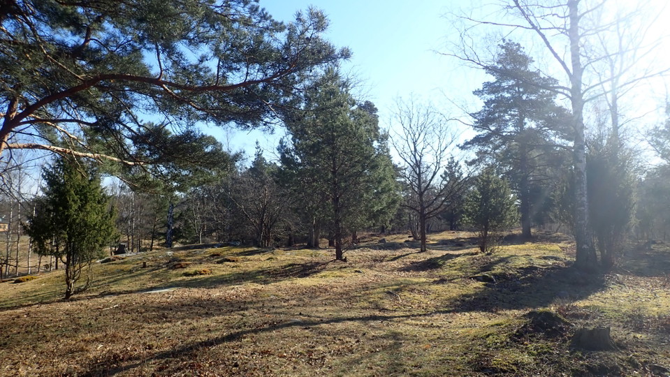 Sticklinge gravfält. Foto Lidingö stad
