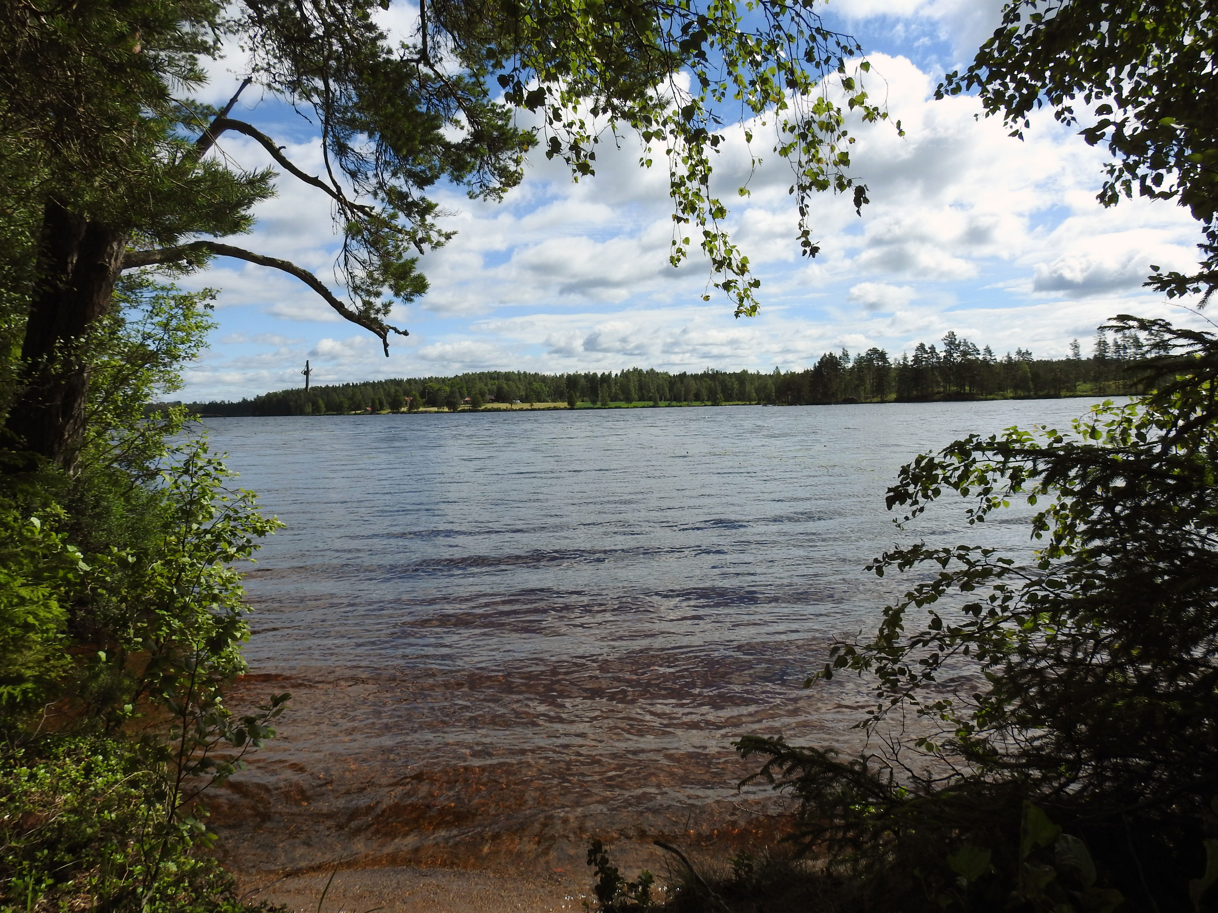 42. Gråmon - Grytsjön