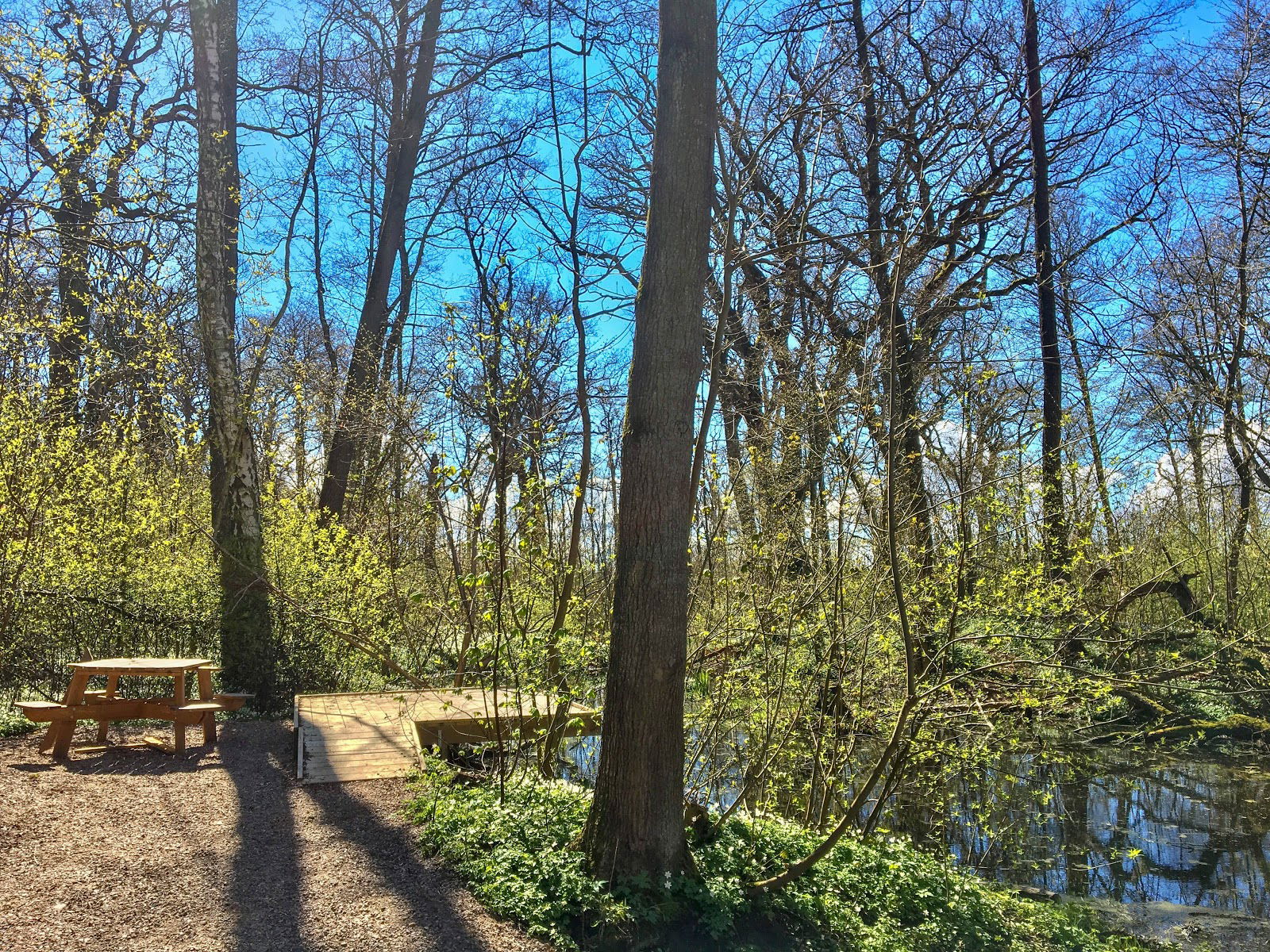 Prästamarken naturreservat Åstorp