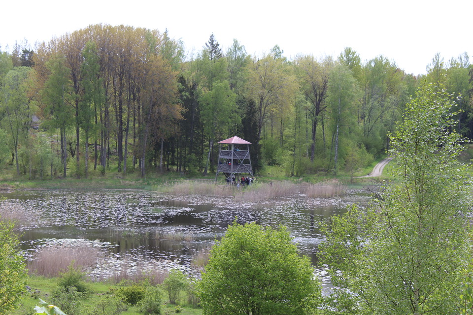 Utsikt över Linasjön från eldplatsen.