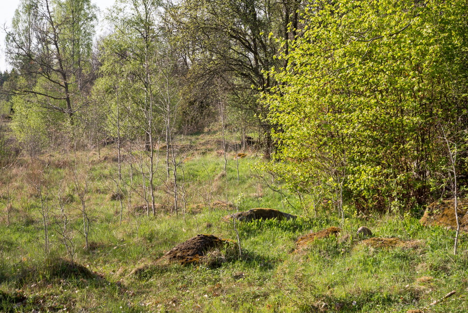 Fotograf: Tobias Ivarsson