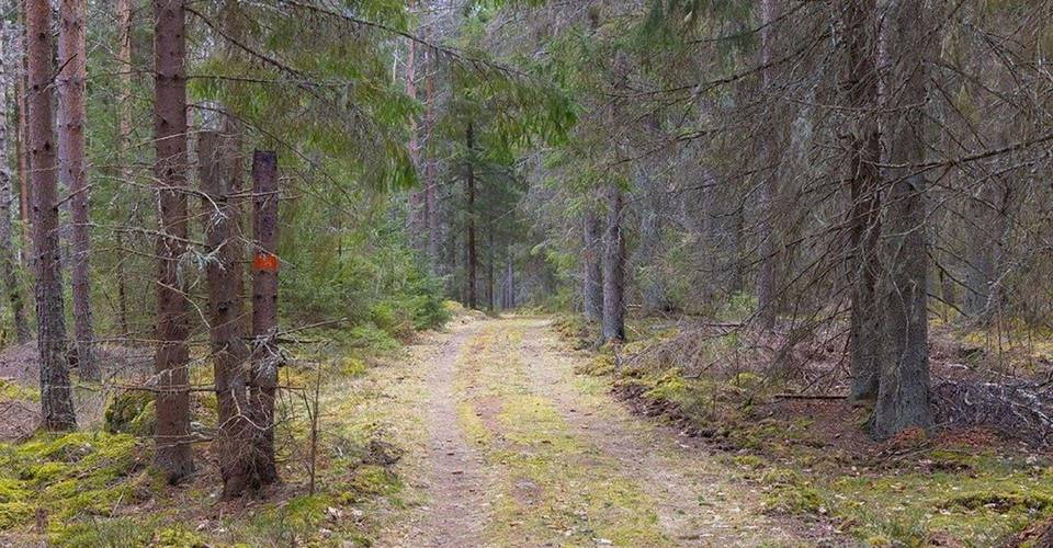 Leden går delvis på mindre skogsvägar och breda skogsstigar.
Etapp: Etapp: Österbymo - Västra Lägern.
Ydre.