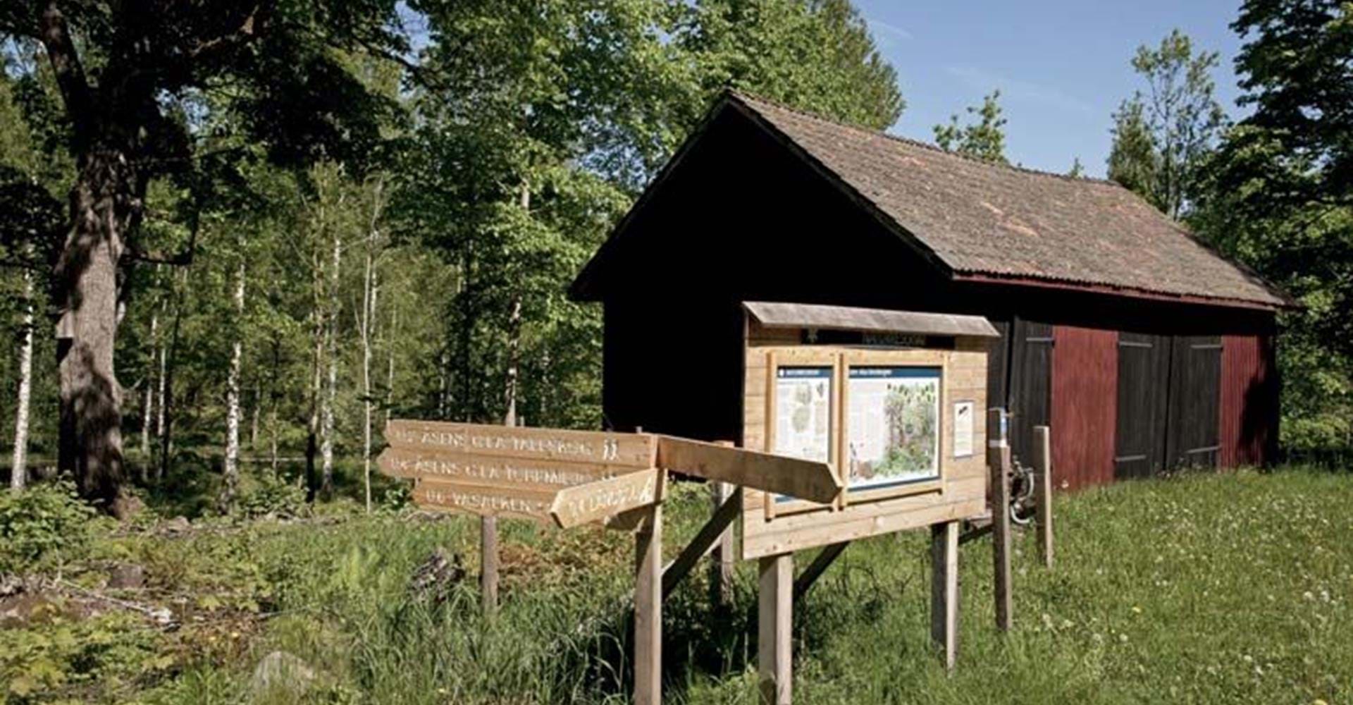 Åsens naturreservat. Foto Länsstyrelsen Östergötland