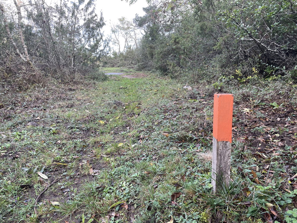 vandringsled genom skog