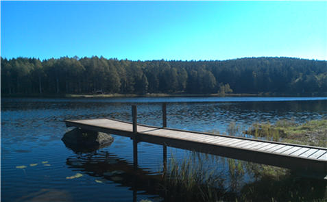 Lissjön