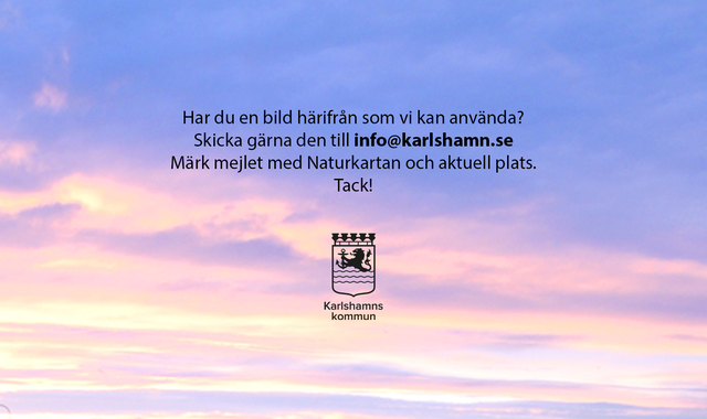 Parkering Parkvägen, Mörrum