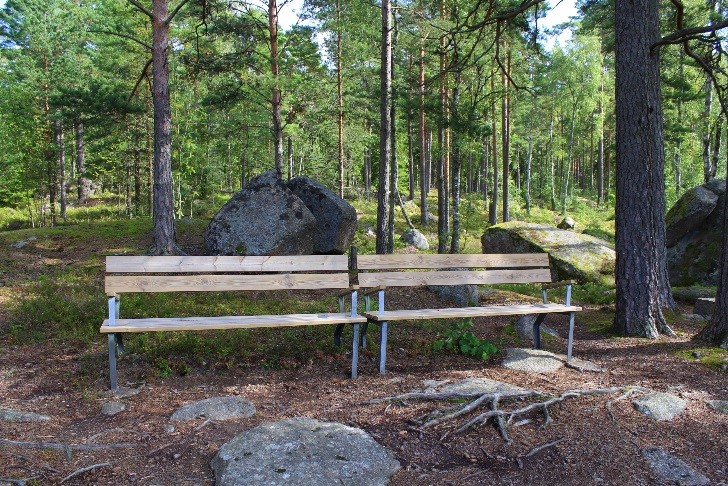 Lena Magnusson