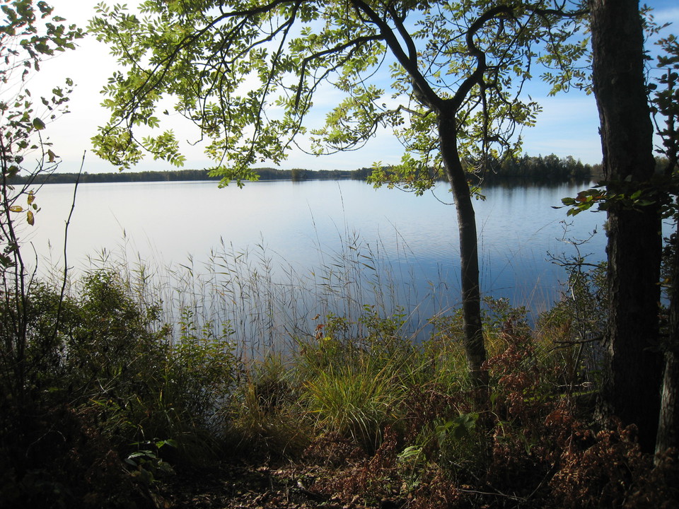 Utmed Vederslövssjön