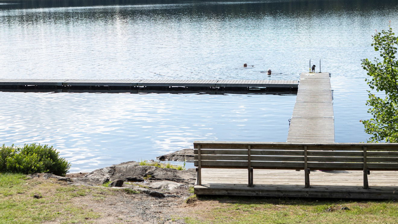 Två personer badar i en sjö och på bryggan står en hund