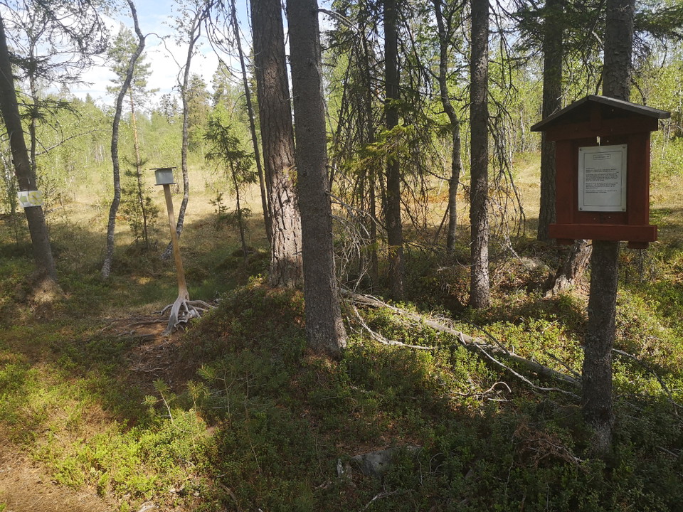 Längs med stigen
