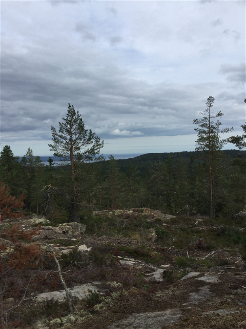 Vacker utsikt mot Ljungans dalgång och Marmen