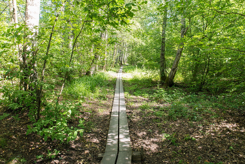 Spången längs Kräpplaån.