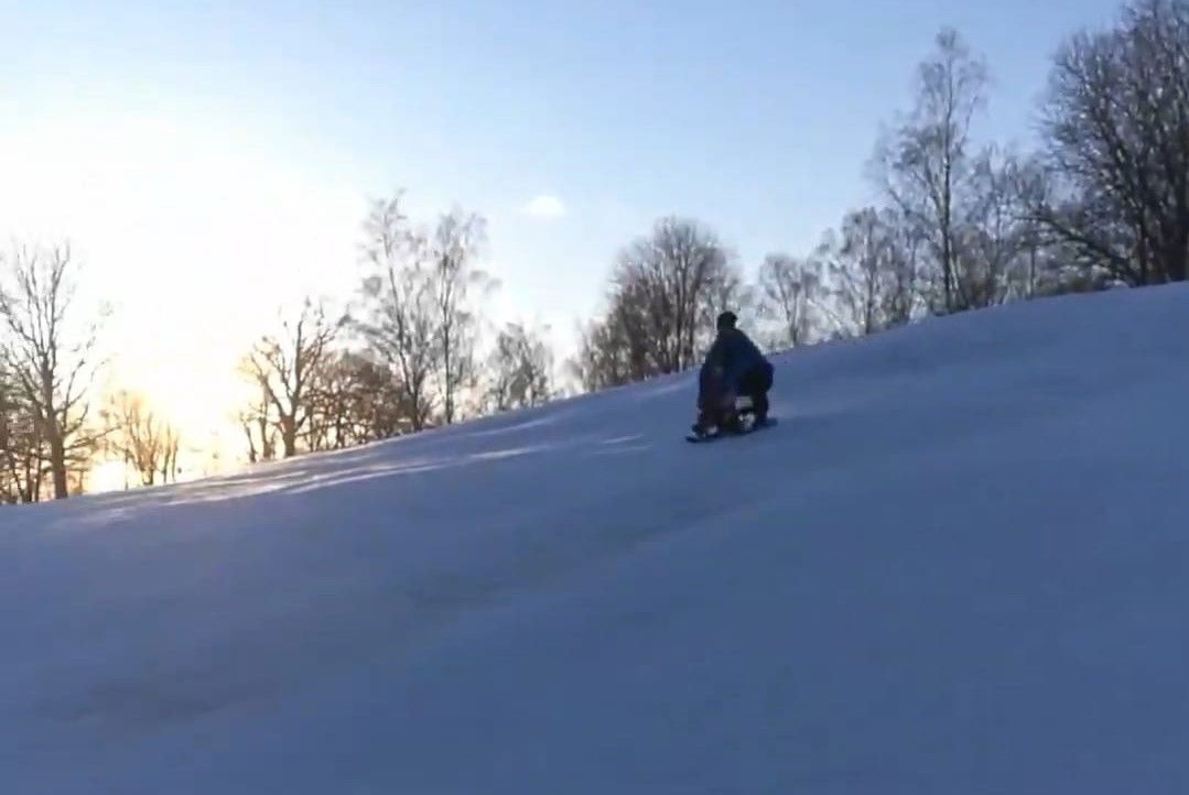 Pulkaåkning