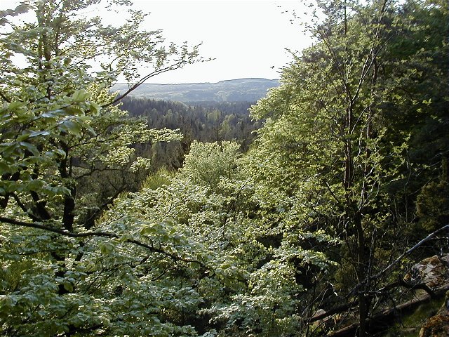 Almeberget naturreservat