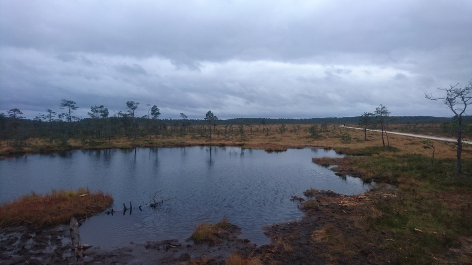 Tjärnar är vackra i alla väder