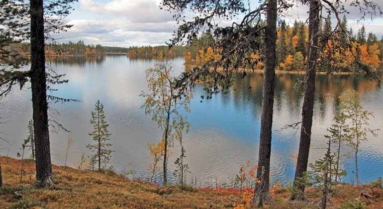 Sjön Låjssa omgiven av skog i höstfärger.