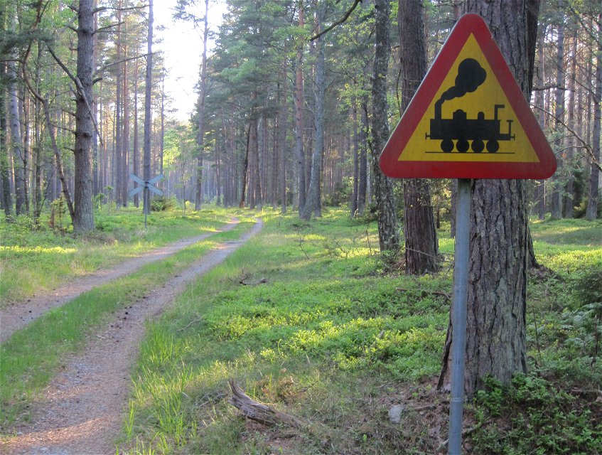 Varning för tåg-skylt mitt i skogen