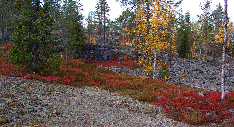 Mosterberget.