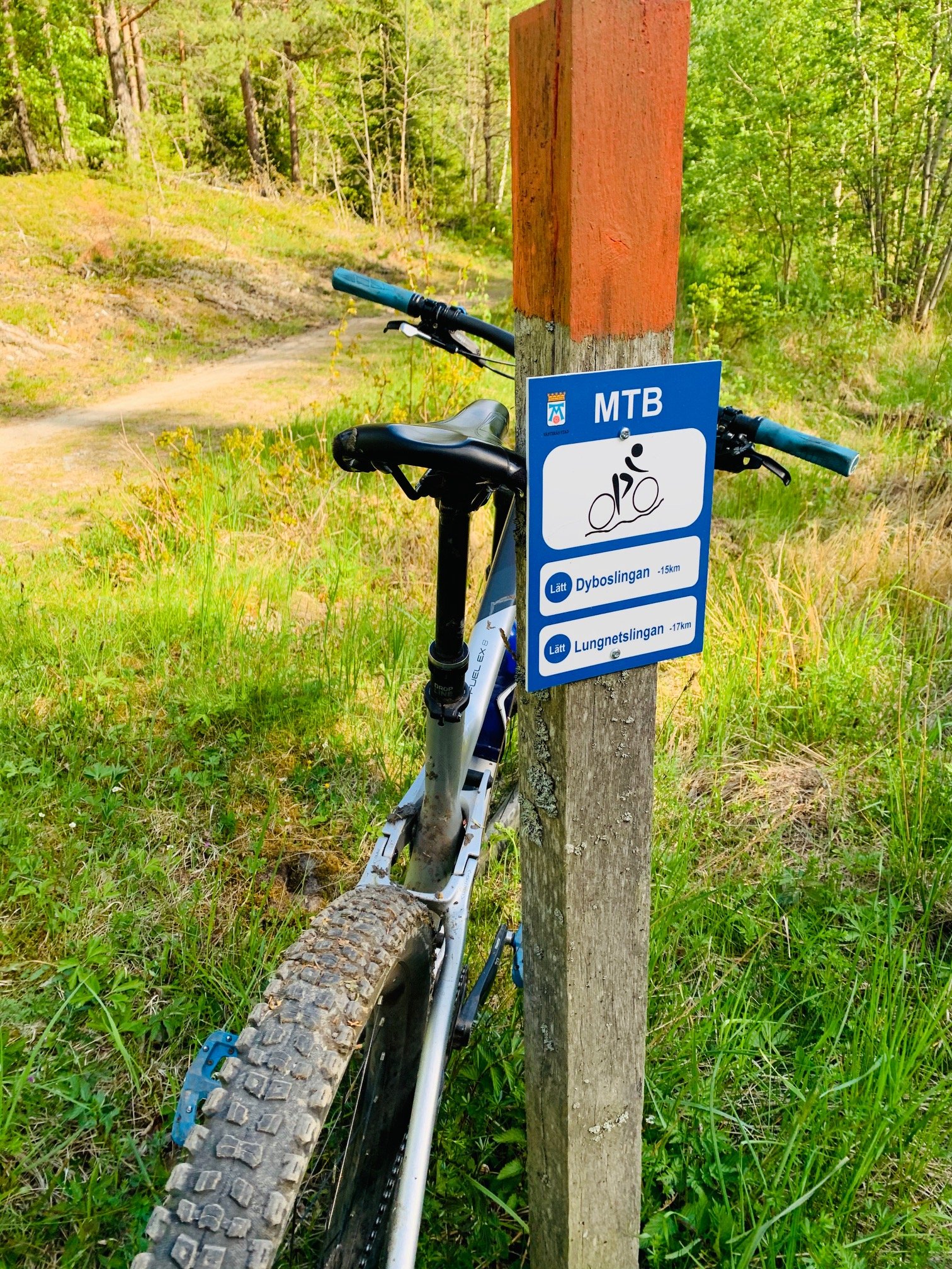 Västerås — Lugnetslingan mountain biking trail (MTB Blue)