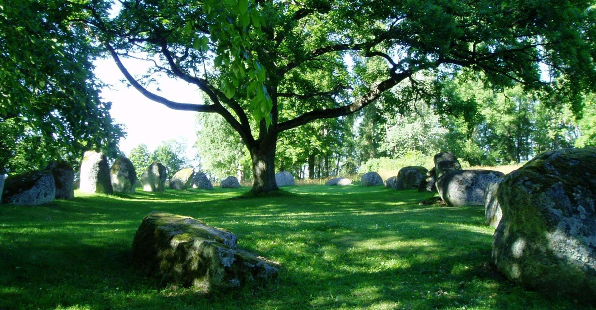 Nässja "Domarring"