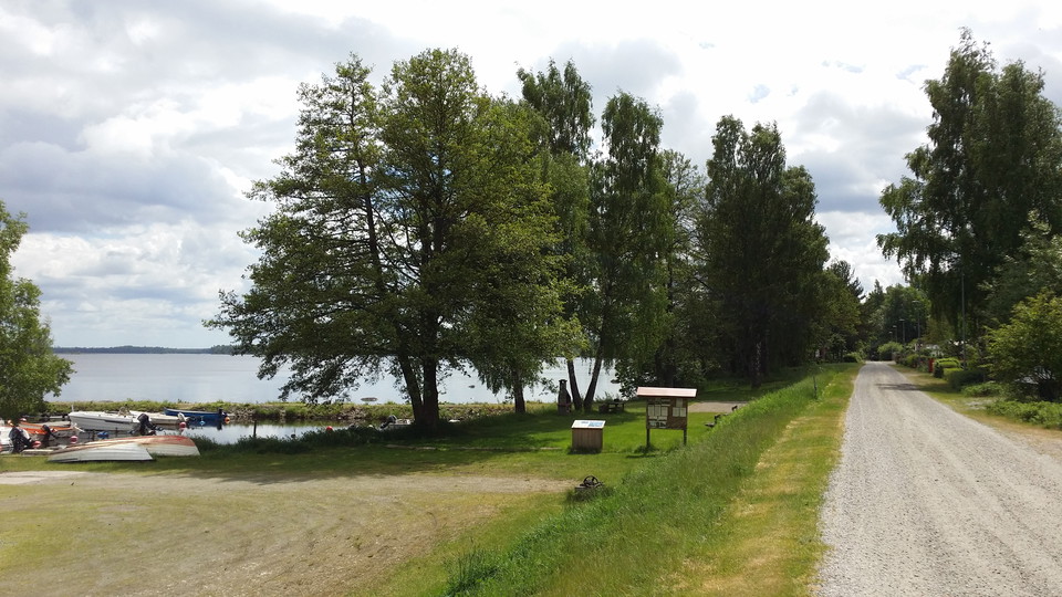 Hulevik