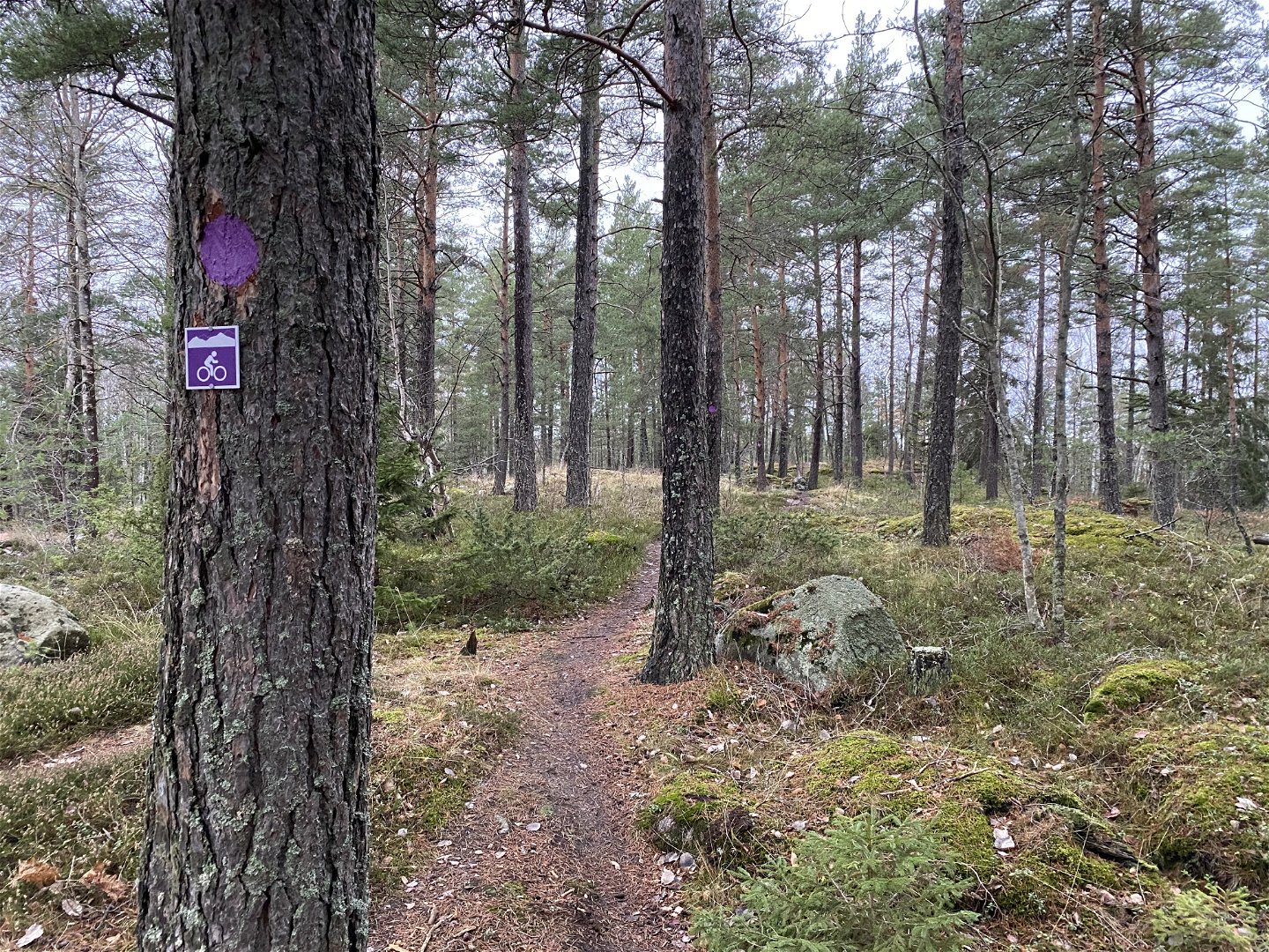 Terrängcykelleden går i blandad terräng på norra Lovö. Foto: Mats Larshagen.