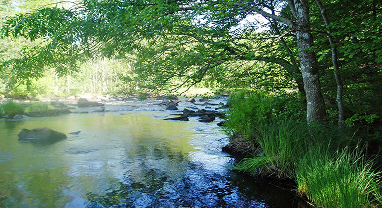 Fotograf: Erik Nordlind