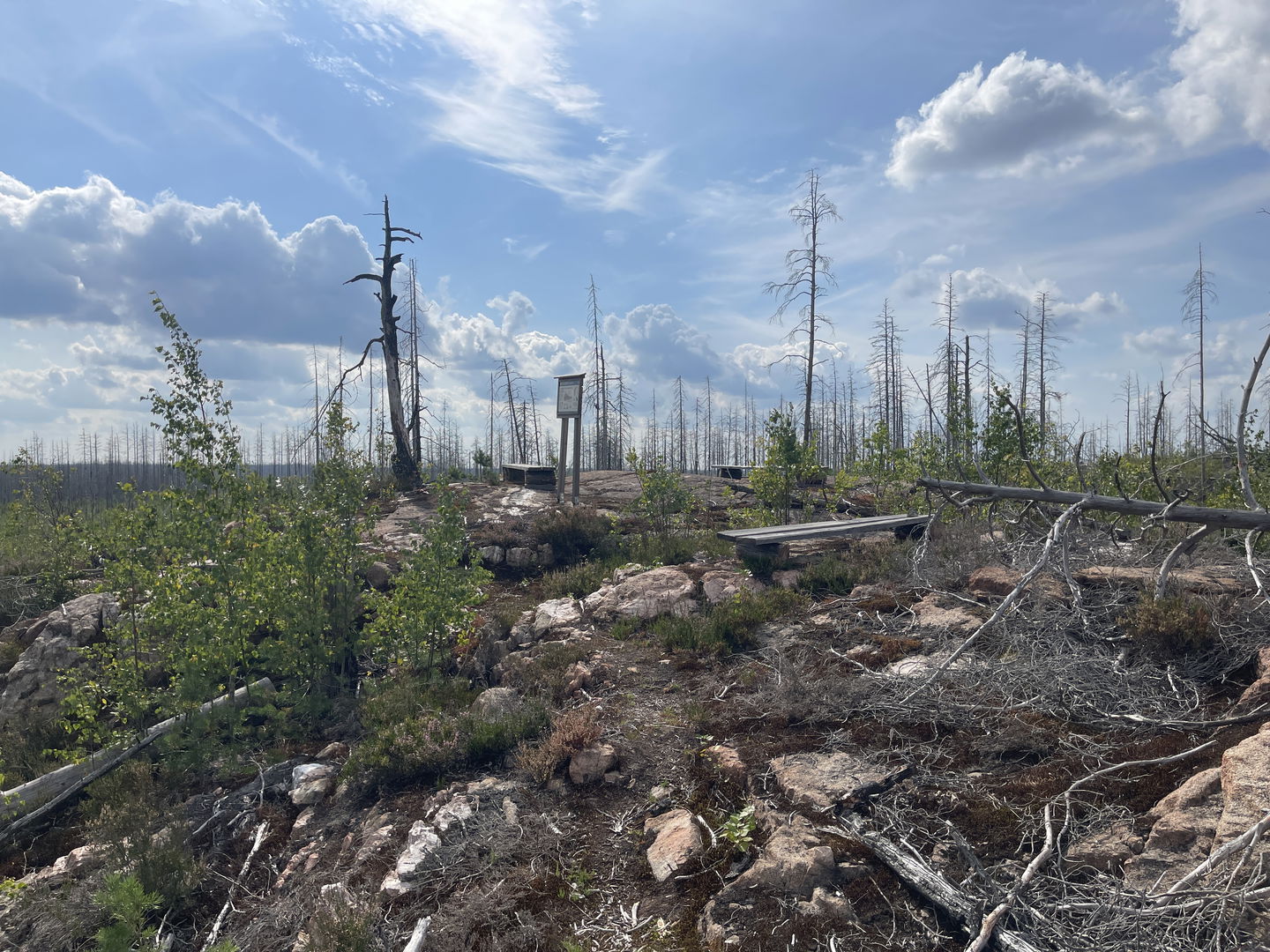 Informationsskylt på en höjd om geologi.