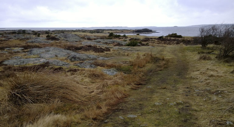Vy över reservatet