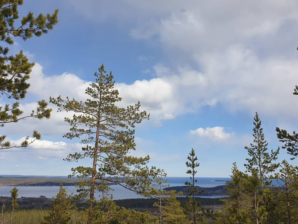 Utsikten från Omsberget österut mot Sundsvallsfjärden och Essvik