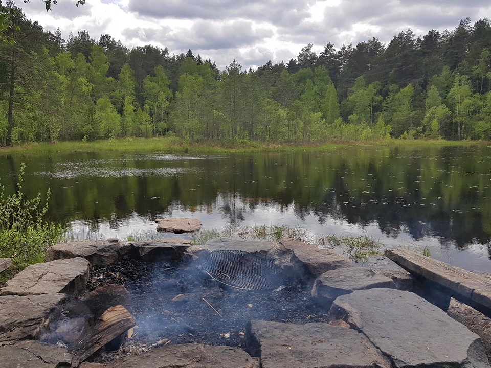Utsikt över Sandakärret från grillplatsen.